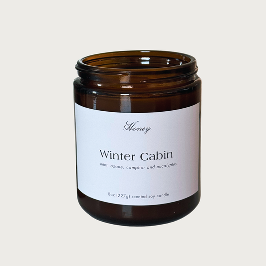 Winter Cabin | Mint + Ozone + Camphor + Eucalyptus